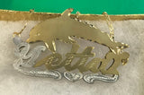 Personalized 14k Gold Plate Any Name 3D Necklace "Dolphin" or Any pic